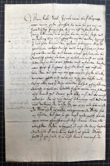 List Anny Wazy do Urszuli Meierin z 28 I 1625 r.