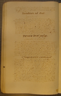 MANDATUM AD CRAC., fragment kodeksu zawierającego łacińskie i polskie formularze pism urzędowych z l. 30. XVII w.