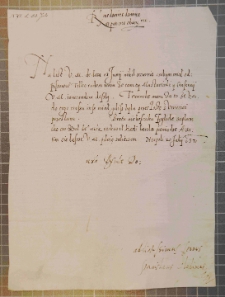 [List Stanisława Kłodzińskiego do podkanclerzego Franciszka Krasińskiego], Neapol, 20 VII 1571