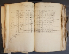 „Tabelle wie starck sich die 6 Regimenten (…) nach der den 15. Augusti 1702 gehaltenen (…) Musterung befinden”