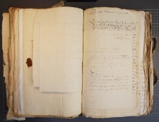 [List nieznanego nadawcy do feldmarszałka (Adama Heinricha von Steinau)], Hostein (?) koło Szczecina, 20 VII 1702