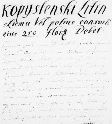 Kopysteński Litinskiemu vel potius consorti eius 250 florenorum debet
