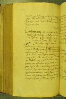 Dokument, w którym Władysław IV potwierdza dożywotnie prawo dworzanina królewskiego, Mikołaja Stogniewa do kilku wsi w starostwie jaworowskim, Warszawa 10 II 1633 r.