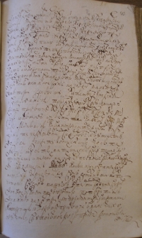 Sprawa Im Pana Stankiewicza z Jm Panem Puzyną – 11 sierpnia 1679