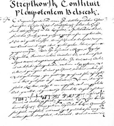 Streptkowski constituit plenipotentem Belzeczki