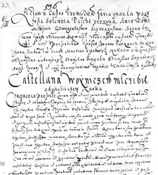 Castellana Woyniczen inscribit aduitalitatem Laska