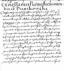 Castellanus Pramislien inscribit se Dunikowski