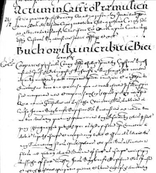Buchowski inscribit se Bieikowski