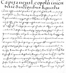 Capitaneus Leopoln inscribit se succoribus Kmitha