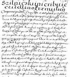 Szilniczki inscribit se castellano Pramisien