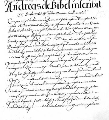 Andres de Bibel inscribit se Bryliński Wladice Nominato Praemisielnsi
