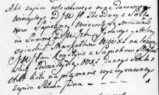 Zapis dóbr uczyniony przez Teodorę Sapiehę na rzecz Krystyny Massalskiej, Nowogródek 24 kwietnia 1767 r.