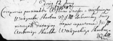 Zapis dotyczący dóbr rodziny Skarbków Ważyńskich, Nowogródek 12 czerwca 1767 r.