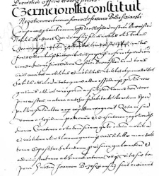 Czernieiowski constituit negotiorum ac bonorum suorum defensorem Brzesczianski