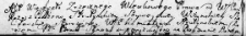 Zapis uczyniony między Różą z Platerów Strutyńską a Romualdem Strutyńskim, Lida 28 lipca 1767 r.