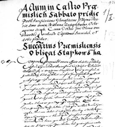 Succamerarius Praemisliensis obligat Stapkowska