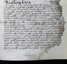 Białosuknia donatio