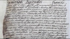 Kamienski Łupienskiei inscribit