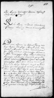 Akt regestru dokumentów dotyczących spraw domu Hołyńskich na dobra Hołyń